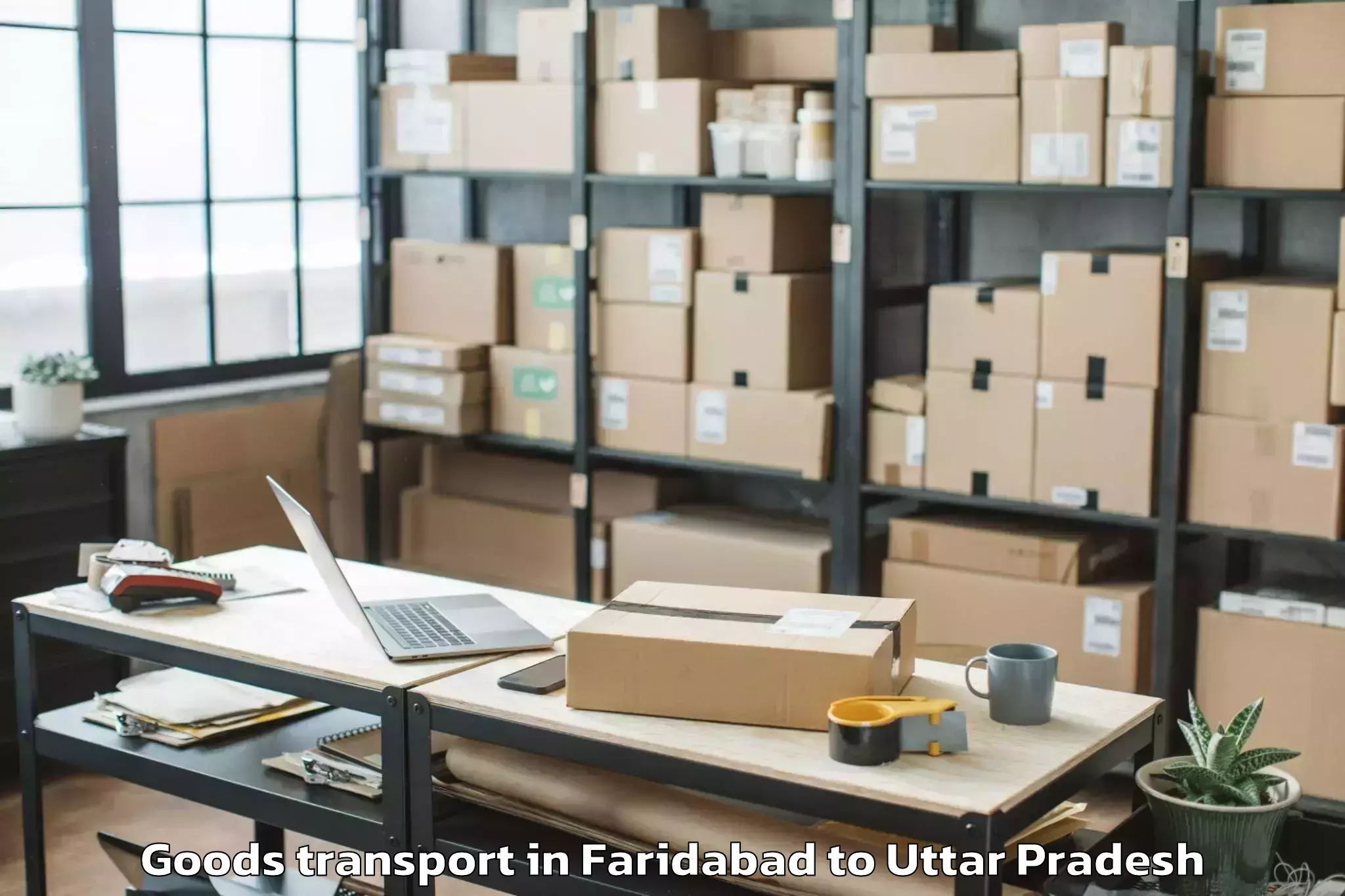 Faridabad to Bajna Goods Transport